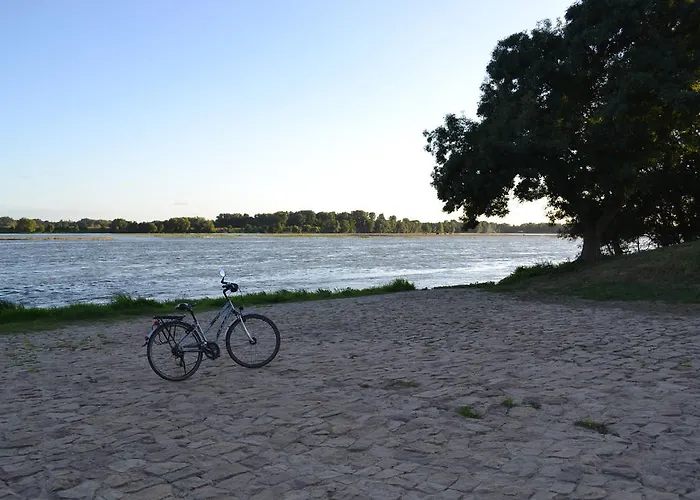 Dagueloire La Dagueniere